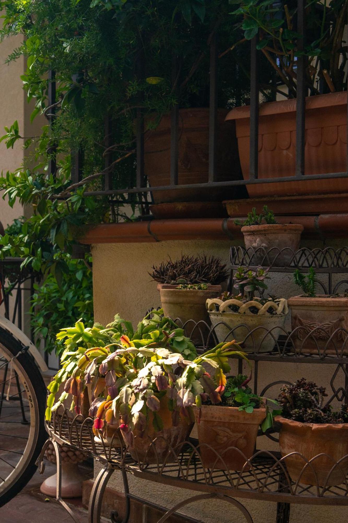 Guest House Antichi Ulivi Mondello Luaran gambar